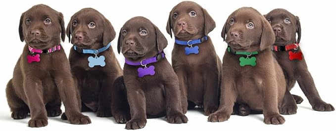 Upgraded Puppy Collars for Litter Puppy ID Collars Whelping Supplies Soft Nylon Breakaway Coloured Collars with 12 ID Tags and 6 Record Keeping Charts(M)