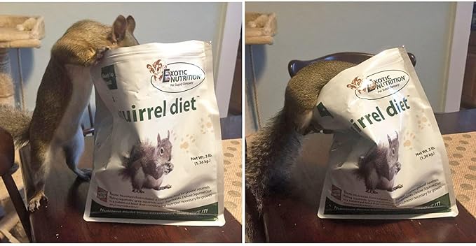 Exotic Nutrition Deluxe Squirrel Diet (2 lb.) - Staple Diet with High Protein Pellets for Captive Squirrels - Grey, Ground, Flying, and Chipmunks