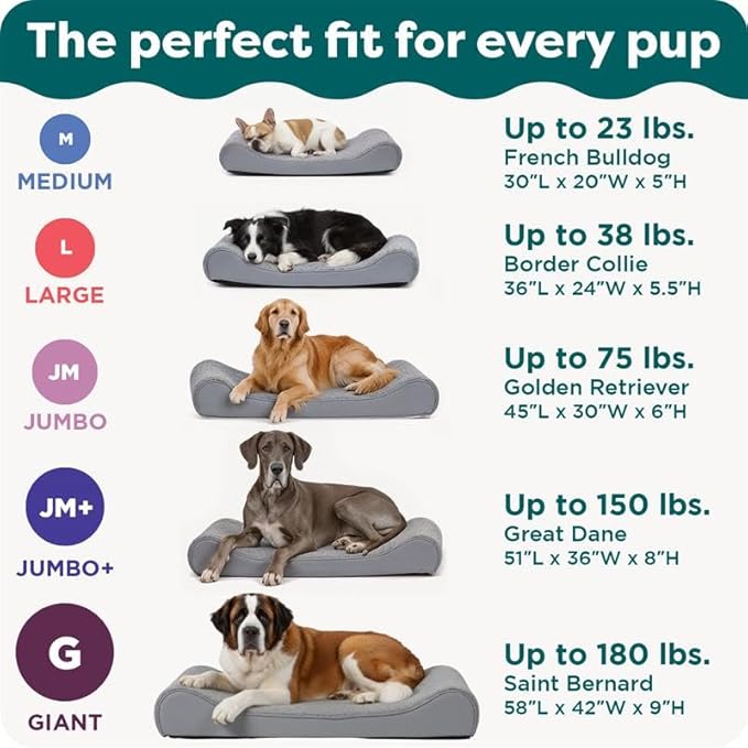 Furhaven Orthopedic Dog Bed for Large/Medium Dogs w/ Removable Washable Cover, For Dogs Up to 38 lbs - Ultra Plush Faux Fur & Suede Luxe Lounger Contour Mattress - Chocolate, Large