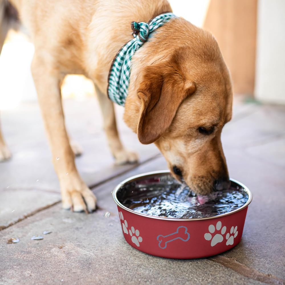 Loving Pets Bella Dog Bowls- Stainless Steel Dog & Cat Bowls - Spill Proof Dog Food Bowl, Cat Bowl, Puppy Essentials & Pet Supplies Great for Home & Travel (Large 35-65 lbs, Merlot)