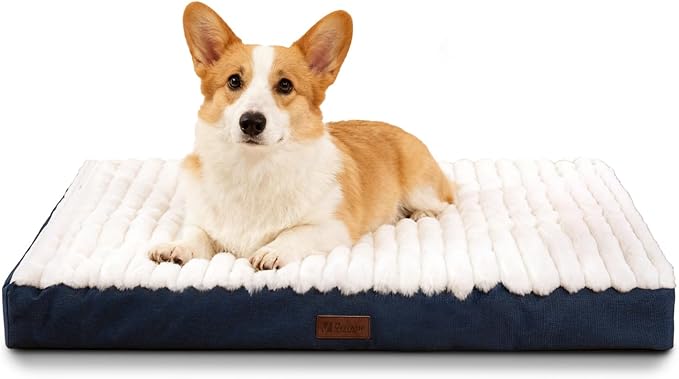 Orthopedic Dog Bed with Firm High-Density Egg Crate Foam, Soft Short Plush Surface Pet Beds,Machine Washable with Removable Cover & Non-Slip Bottom for Medium Breeds (Blue, 29" L x 18" W x 3" H)