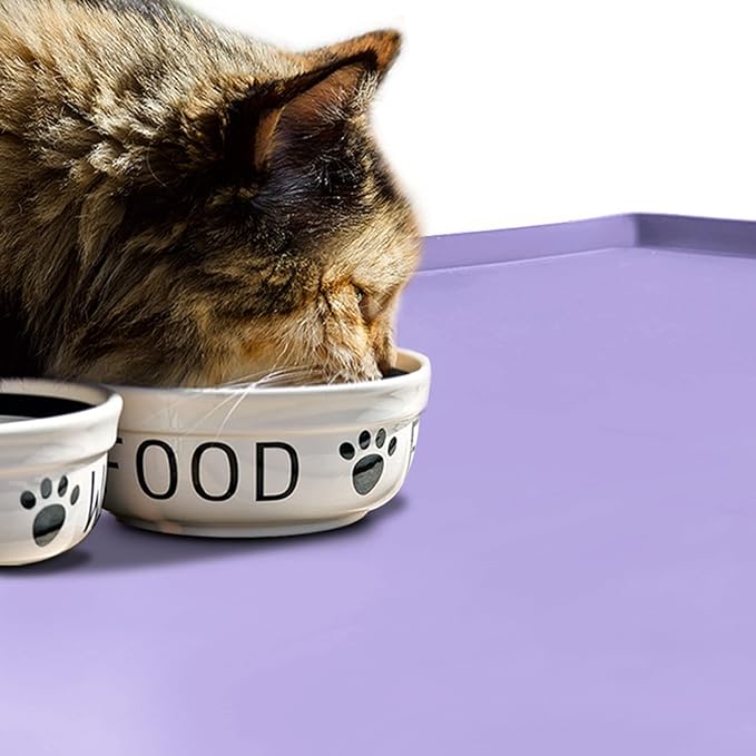 Dog Food Mat,Silicone Waterproof Food Tray,Non Slip Pet Bowl Mats Placemat,1" Raised Edge,Suitable for Most Small and Medium Sized Pets,32" x 24"