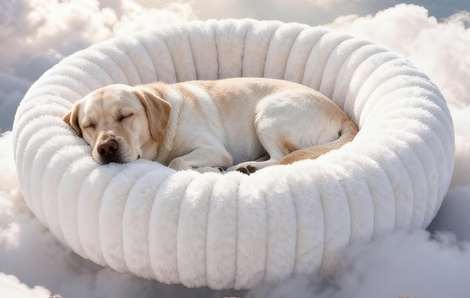 Self Warming Pet Bed, Donut Dog Bed for Large Dogs - Pet Bed with Removable Cover, Self-Heating Winter Pet Beds for Medium & Big Dogs, Egg Tart Design (L)