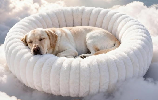 Self Warming Pet Bed, Donut Dog Bed for Large Dogs - Pet Bed with Removable Cover, Self-Heating Winter Pet Beds for Medium & Big Dogs, Egg Tart Design (L)