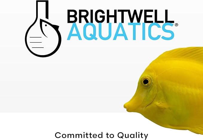 Brightwell Aquatics MicroBacter Start XLM - Concentrated Freshwater Nitrifying Bacteria - Quick Start Fish Tank Starter, Lift Microbe Levels & Water Filtering - Aquarium Water Treatments, 33.8 fl oz