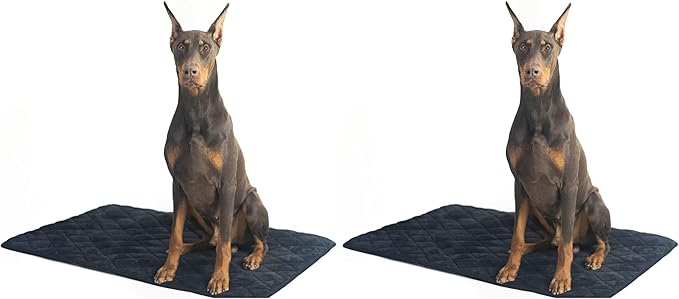 4Knines Extra Large Dog Crate Mat – Waterproof, Non-Slip, Machine Washable Crate Mat – Soft, Durable Kennel Mat for Dogs – Pet Bed for Crates, Travel or Home Use - Extra Large (Black) (Pack of 2)
