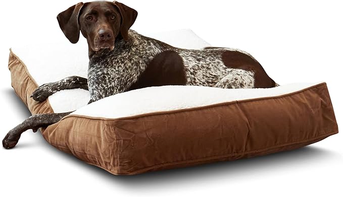 South Pine Porch Buddy Reversible Rectangle Pillow Style Microfiber and Sherpa Dog Bed with Removable, Machine-Washable Cover, Latte Sherpa, Medium (42 in. x 30 in.)
