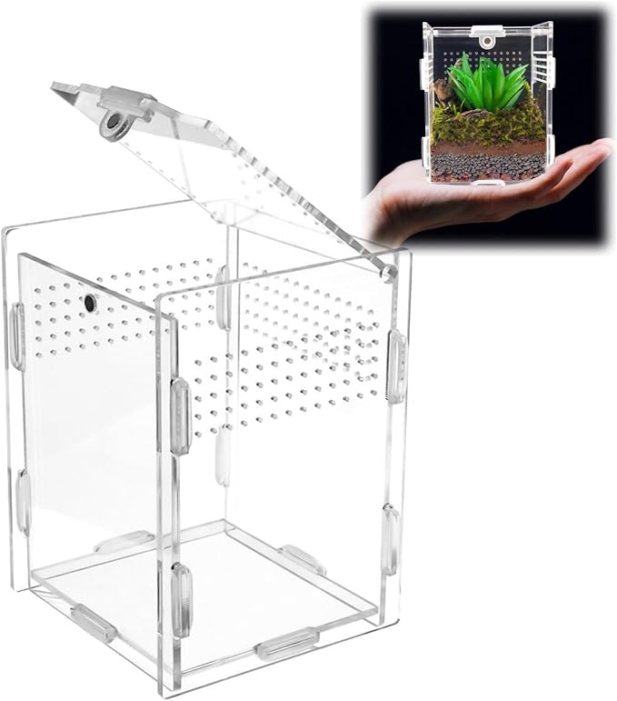 Hermit Crab Tank Jumping Spider Enclosure Acrylic Terrarium Habitat High Clarity Escape-Proof Small Terrarium for Hermit Crab Jumping Spiders Frogs and Small Reptiles Ideal for Reptile Keepers