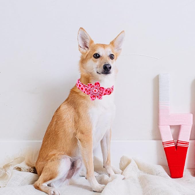 Lionheart glory Valentine's Day Dog Collar with Flower Dog Collar for Small Dogs, Soft Adjustable Hearts Dogs Collars Spring Pet Collars Flower Puppy