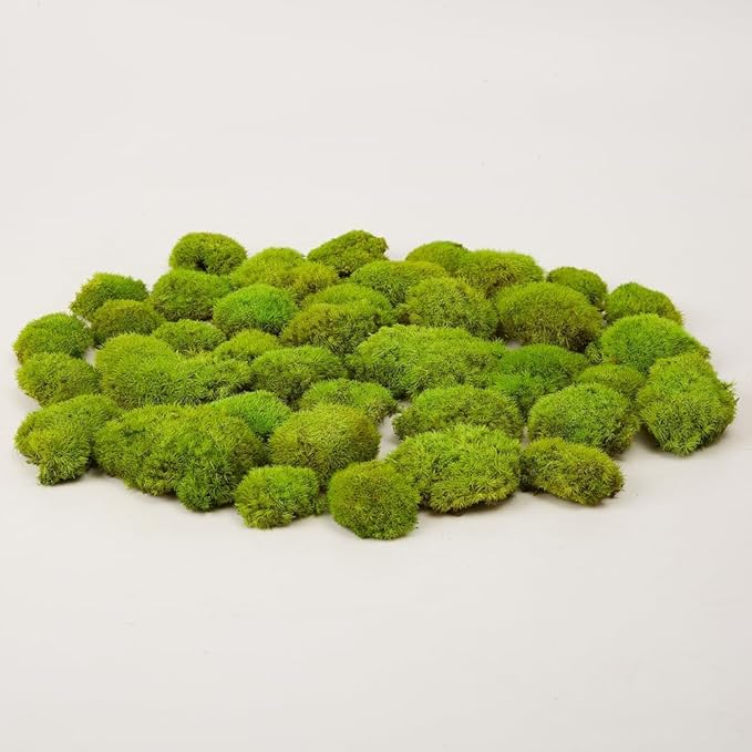 Preserved Pole Moss Pillow Bun Cushion Natural Green Decorative Real Natural Green DIY Kit Gardenning Art Wall Decor Florist Decor Easter Table Decor Wedding(1.5 sq.ft, Green-E)