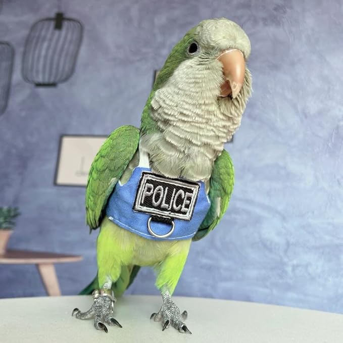 Bird Flight Harness Vest, Parrot Flight Suit with Leash, Bird Flying Clothes with Rope and Handle for Outdoor Activities (Without Leash,Green-cheeked Conure)