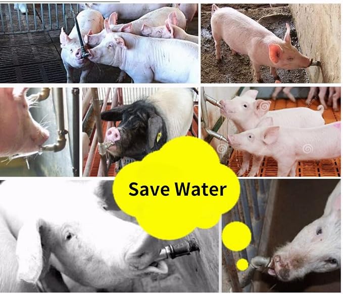 Automatic Pig Drinkers, 5 Pieces Thread Stainless Steel Automatic Pig Nipple