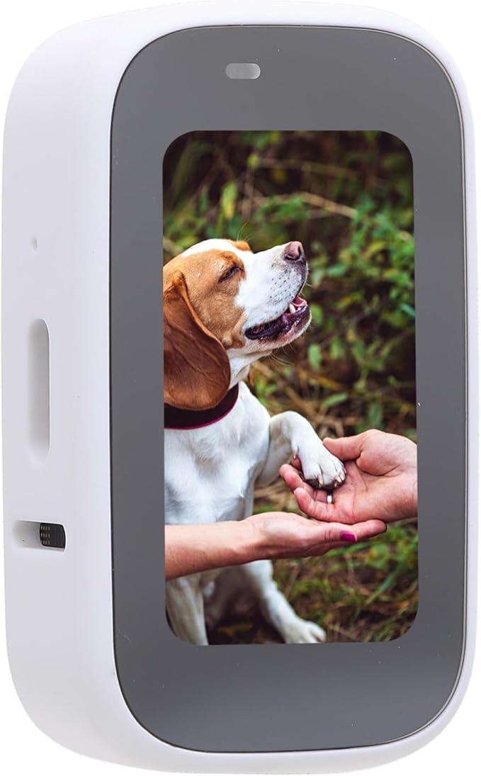 Pet Body Worn Camera, HD Resolution Wearable Body Cam for Dogs and Cats, Water Pet Action Camera with Lightweight Design for Outdoor Travel and Daily Adventures (White)