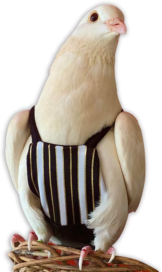 Bev's Bird Boutique Regular Flyper Adjustable Bird Diaper | Reusable, Washable Cloth | Comfort Fit for Parrot, Cockatiels, & Other Small Birds | Fashionable Avian Accessories, Regal, Size 8.5