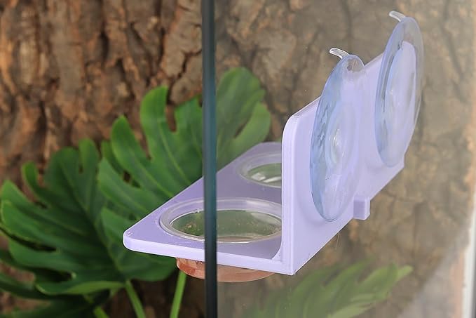 Crested Gecko Feeding Ledge with 10PCS Gecko Food Water Dish - Purple