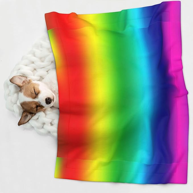 Pet Blanket for Couches and Beds, Colorful, Reversible Double Sided Plush Design with Soft Bumpy Texture and Smooth Surface, Furniture Protector