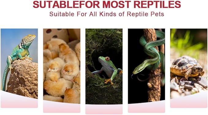 Infrared Heat Lamp 100W,（2 Pack） Reptile Heat Emitter Infrared Basking Spot Light, Reptile Pets Brooder Use,Red Heat Lamp for Chickens、Lizards、Snakes、Turtles