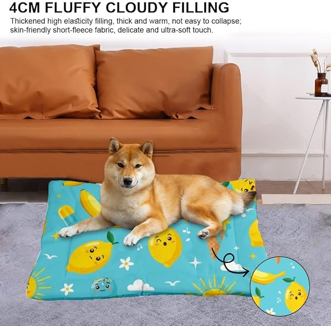 Banana Lemon Treat Turquoise Big Dog Bed Dogs Mat Pet Carrier Pad Crate Cushion Washable Non-Slip Small Dog Bed for Crate Kennel Beds for Crates Mat Cage Accessories Indoor Outdoor 36X24 Inch