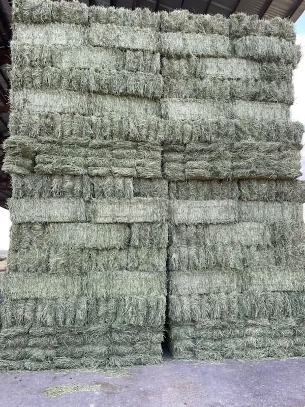 Fresh Alfalfa Hay 40Lbs by Bunny Honey - Natural Hay for Guinea Pigs, Rabbits, Hamsters, Hedgehogs, and More Small Animal Pets - Not Blended, Green Chopped & Delivered Fresh