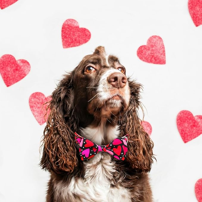 Valentine’s Day Dog Collar Adjustable Puppy Collar with Red & Pink Heart Pattern, Cute Pet Accessories for Small Medium Large Dogs