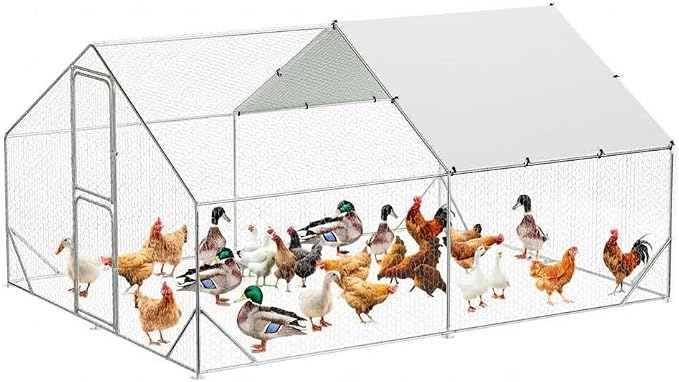 9.8X13.1x6.6FT, Large Walk in Chicken Run Pen Cage, Metal Coop Clearance
