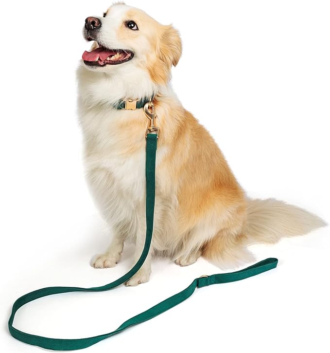 Soft Cotton Dog Collar with Metal Buckle Adjustable Heavy Duty Comfy Corduroy Collars for Small Medium Large Dogs,Dark Green,Large