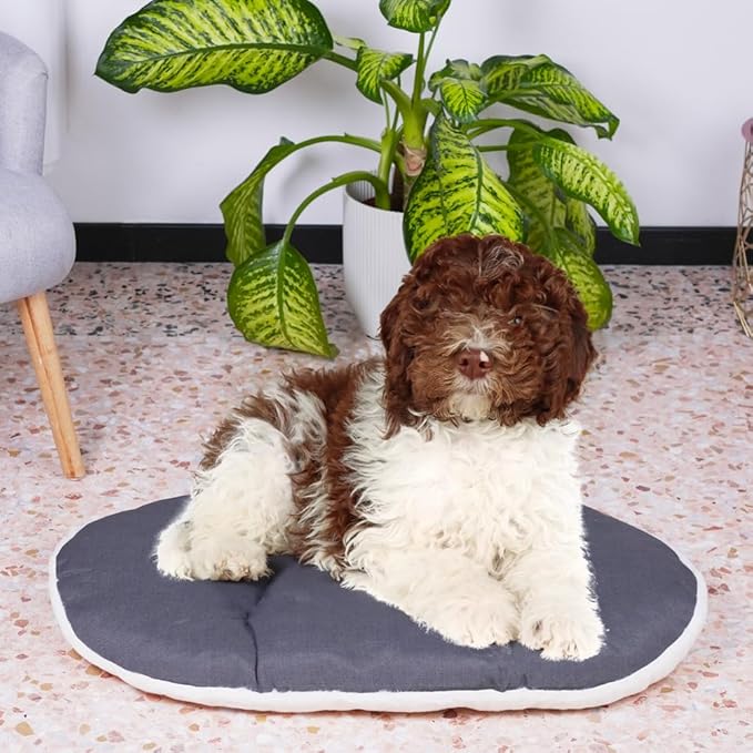 Ferplast Dog Cushion Relax, Cushion for Medium-Sized Dogs, Cat Cushion, Mat for kennels and Cars - Washable - in Cotton and Peluche with Soft Padding, 78 x 50 m. Brown