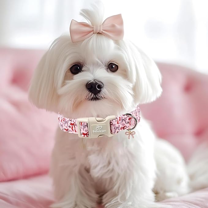 Girl Dog Collar for Small Dogs - Cute Heart Bow Print Girly Dog Collars, Soft Adjustable Spring/Summer Holiday Female Dogs Collar with Quick-Release Buckle S