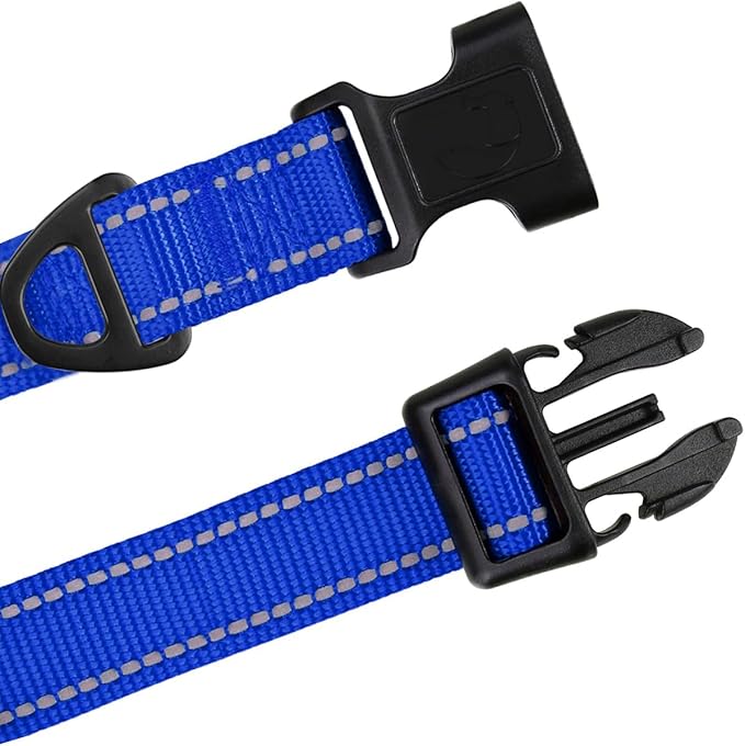 TagME Reflective Nylon Dog Collars, Adjustable Classic Pet Collar with Quick Release Buckle for Small Dogs, Royal Blue, 3/4" Width