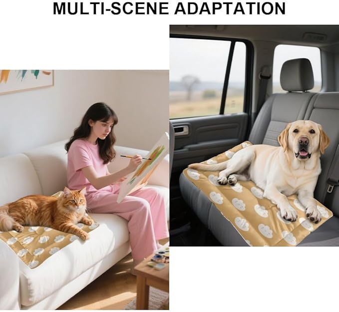 Cute Brown Clouds Dog Beds& Furniture Dog Crate Mattress Pad for Car Bed for Medium Crate Washable Non-Slip Bed Washable Small Beds Tear-Resistant Mat Doggy Indoor Outdoor 36X24 Inch