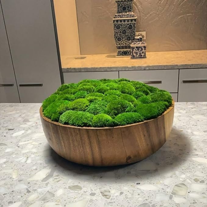 Preserved Pole Moss Pillow Bun Cushion Natural Green Decorative Real Natural Green DIY Kit Terrariums Gardenning Art Wall Decor Florist Decor Easter Table Decor Wedding (3.0 sq.ft., Green-B)