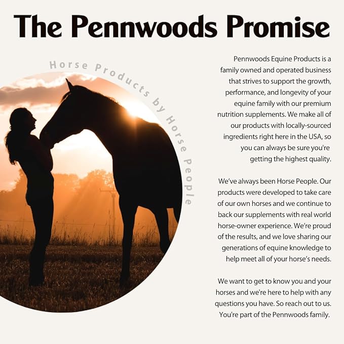 Pennwoods Essential Omega Boost for Horses - Soothe Allergies, Support Respiratory Health, Enhance Breeding, Made in The USA 2lbs.