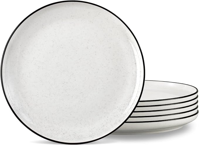 Ceramic White Dinner Plates Set of 6, 10.5 Inch Plates