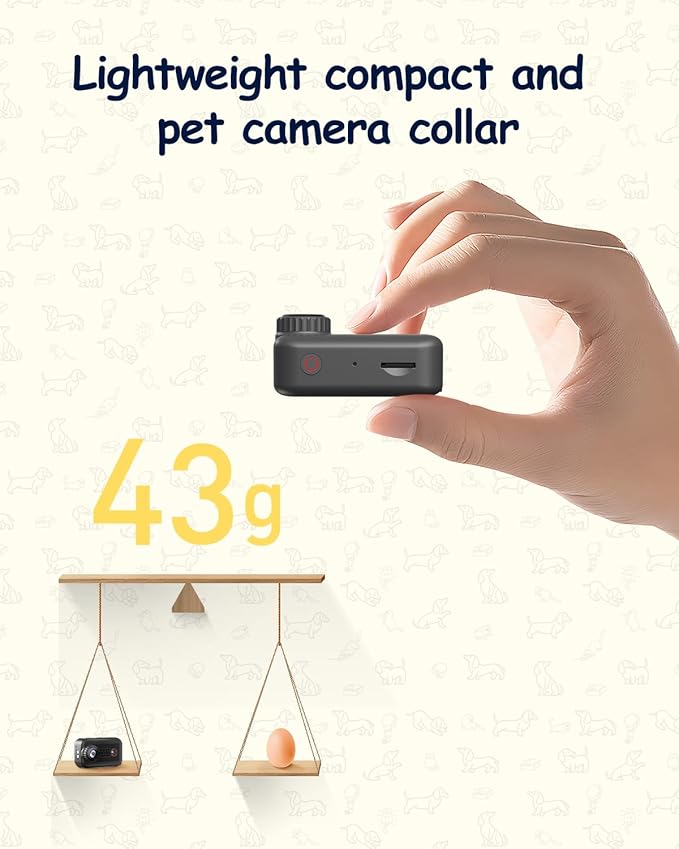 2K Pet Collar Camera with Phone 32GB SD Card 20MP Dog Collar Camera, PetCamera with Remote, Accessories Newly Upgraded Multifunctional ActionCamera