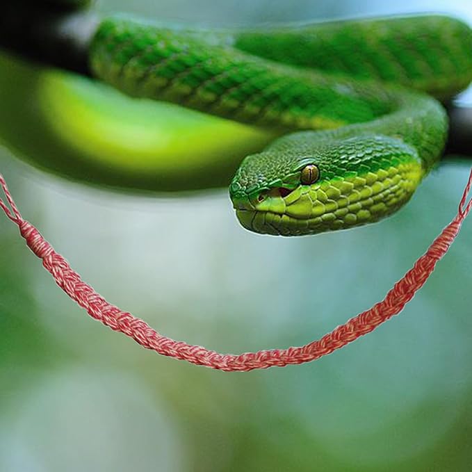 Snake Climbing Toys, Hermit Crab Climbing Toys Reptile Vines Toys for Hermit Crab Bearded Dragon Lizards Geckos Corn Snake