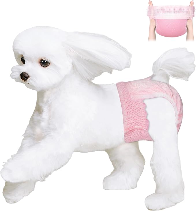 Ambreview Disposable Dog Diapers Female, Just Pull It Up, Doggie Diapers for Female Dogs, Strong Absorbency | Leak Proof, for Dogs in Heat | Elderly | Disabled, L 10 PCS