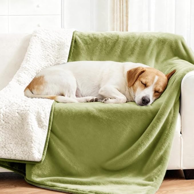 Lekereise Reversible Waterproof Dog Blanket, Super Soft Couch Cover for Dogs, Washable Leak-Proof Protector for Sofa Bed Car Seat, for Cats to Large Dogs (Green, 25" x 35")