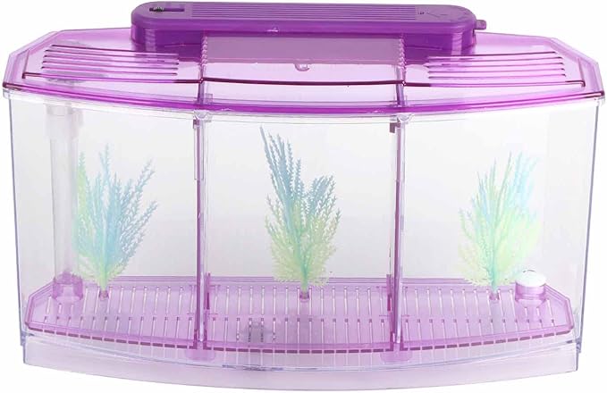 Yctze LED Acrylic Aquarium Breeding Box and Kit - Ideal for Betta Fish, Dual and Mini Aquarium Environment