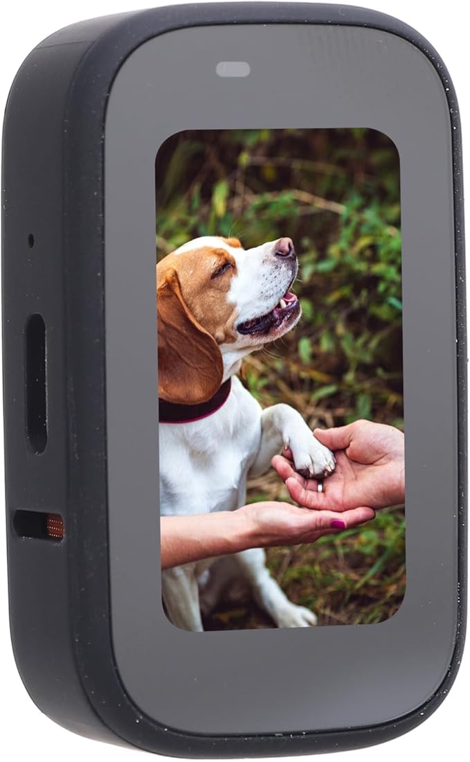 Pet Body Worn Camera, HD Resolution Wearable Body Cam for Dogs and Cats, Water Pet Action Camera with Lightweight Design for Outdoor Travel and Daily Adventures (Black)