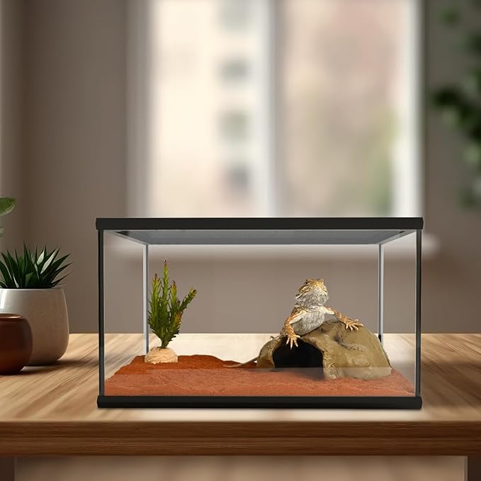 Reptile Glass Tank 16"x11"x9" Terrarium with Top Opening and Screen Ventilation for Leopard Gecko,Lizard,Hermit Crab,Snake,Spider,Frog,Bearded Dragon,Turtle with Feeding Tongs