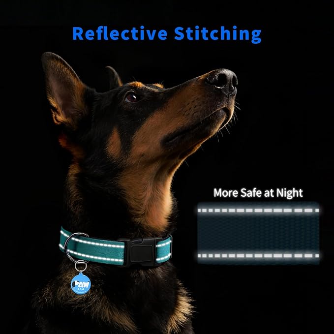 Reflective Dog Collar for Small Dogs with Dog Tags Personalized & Quick Release Buckle, Adjustable and Comfortable Nylon Pet Collar, Mint Green