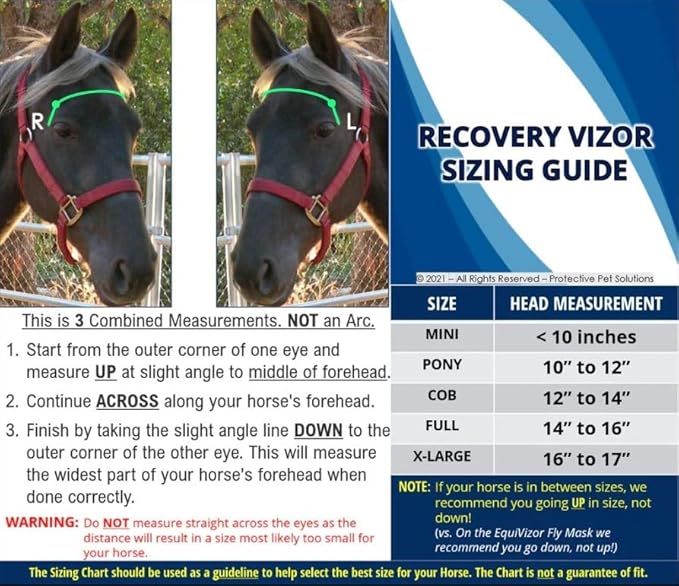 Recovery Vizor, (Size: Mini/Foal - Dark UV Tint) Medical and Preventative Horse Eye (Goggle) Protection Mask for Uveitis/Injury/Scratch or Corneal Ulcer, Infection, Blindness.