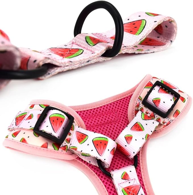 Coowone Dog Harness and Leash Set, Adjustable Puppy Harness and Soft Padded Dog Vest Clothes for Small Medium Large Dogs
