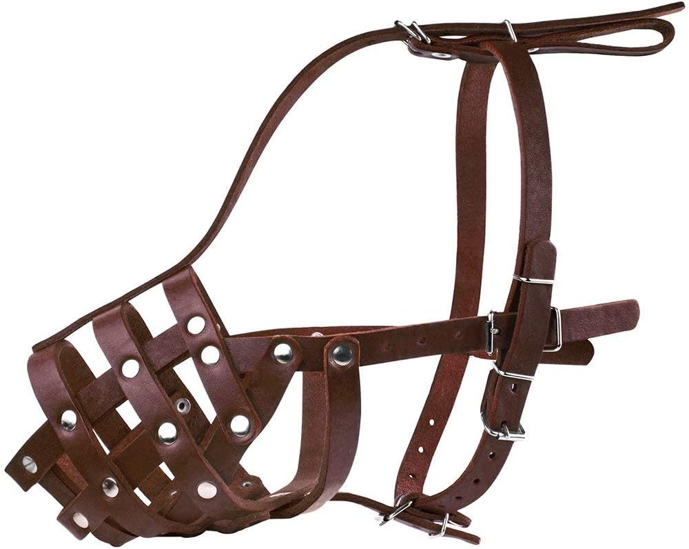 CollarDirect Dog Muzzle German Shepherd Dalmatian Doberman Setter Leather Basket Medium Large Breeds (Chestnut Brown, Large)