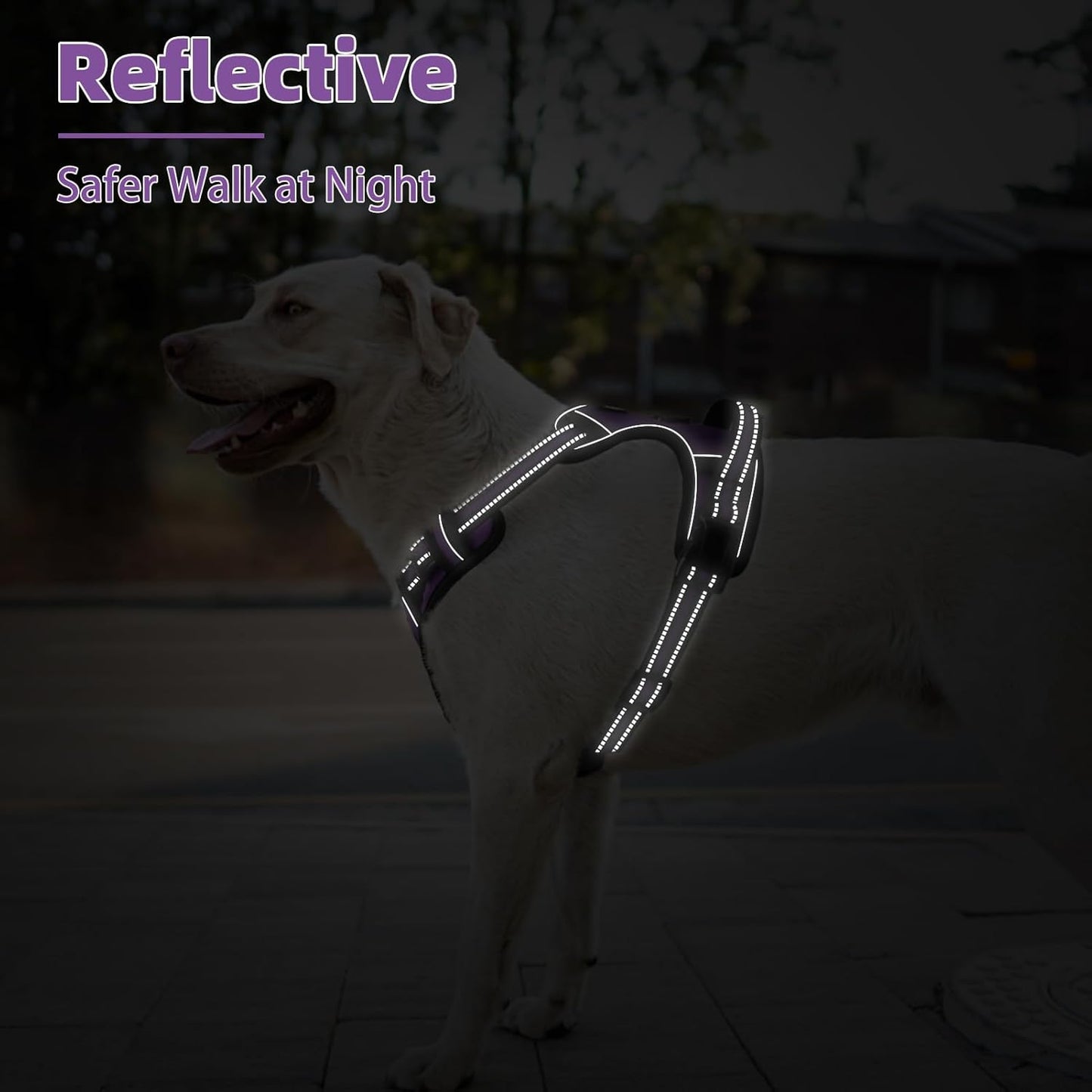 PUPTECK No Pull Dog Harness Medium Sized, Adjustable Reflective Dog Harness with Handle Easy Control, Comfortable Soft Padded Pet Vest Harness for Medium Dogs, Solid Purple M