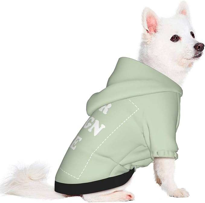 Personalized Chihuahua Dog Hoodie, Custom Pet Warm Sweatshirt Costume with Name Number Photo, Customize ID Clothes for Pupppy Kitten Dogs Cats, LightGreen, XL