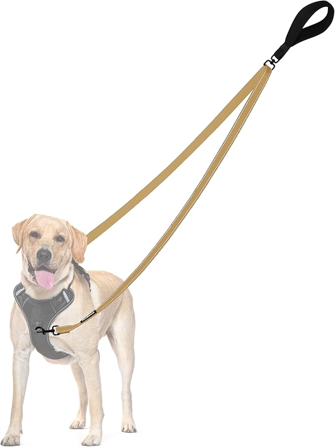 PetBonus Two Point Control Dog Leash, Works with No Pull Harnesses, No Tangle Training Leashes, Soft Padded and Reflective Walking Lead, Converts to Single Lead for Medium Large Dogs (Khaki)