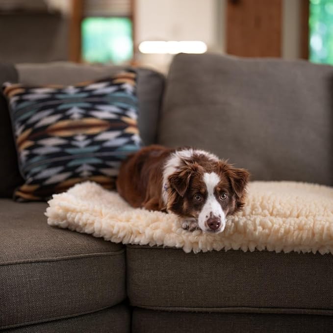 Carolina Pet Co. Dog Comfort Cushion, Sherpa Pet Bed, X-Large 48x30x2 Inches, Polyester, Portable, Machine Washable (X-Large)