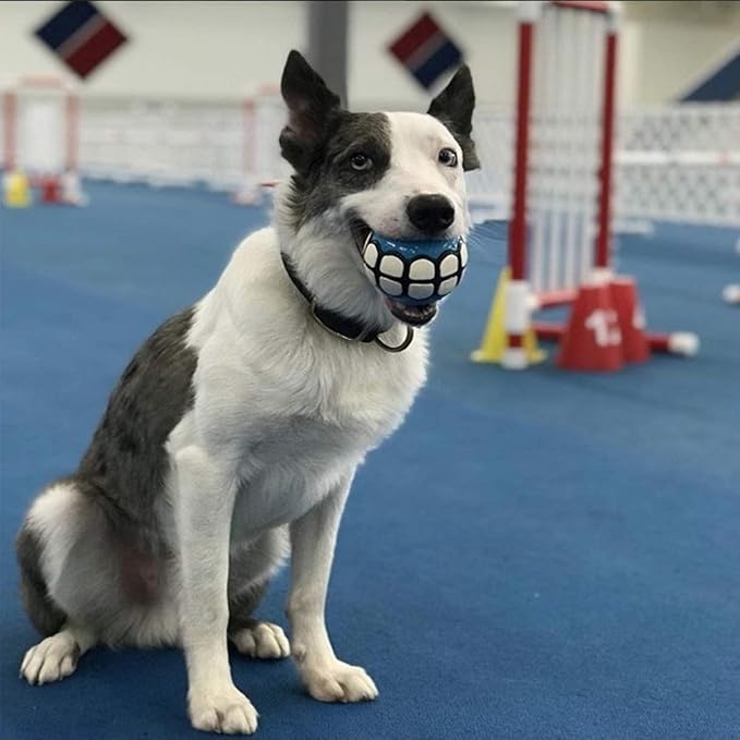 Dog Balls Toys Squeaky Fetch - Rubber Funny Ball Gifts for Large Medium Dogs (Blue White)