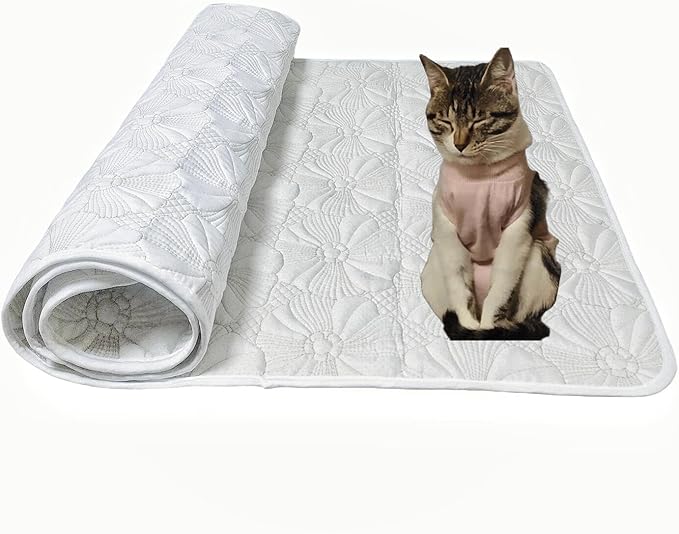Washable Pet Pad Runner for Small Dogs/Cats - Multi-Layer Fabric Pet Mat Bed with Waterproof Backing Couch Cover Furniture Protector - Anti Cat Pee and Scratch, 60 x 28 inch, White